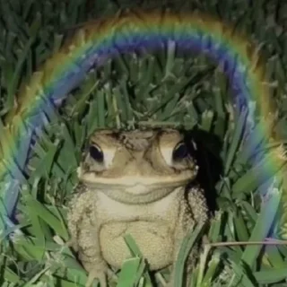 🌈