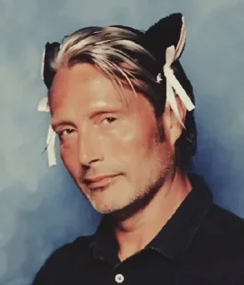 🐱