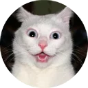 🐱