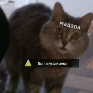 🤯