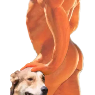 💪