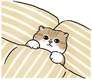 🛌