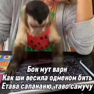 🤩