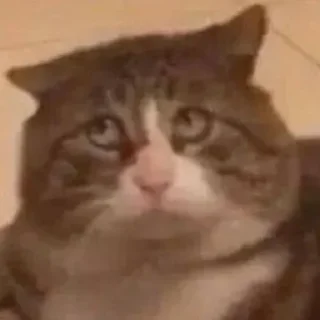 🤯