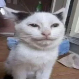 😕
