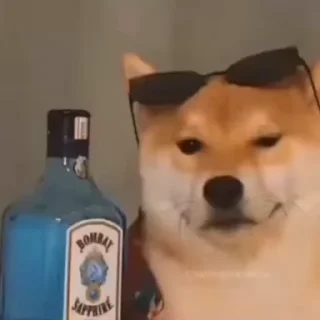 😎