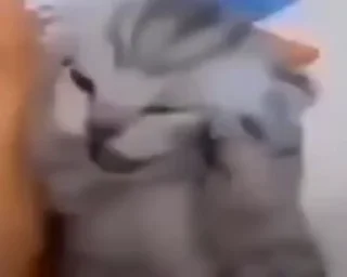 😭