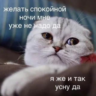 😭