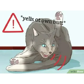 ⚠️
