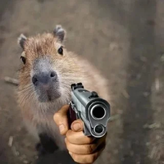 🔫