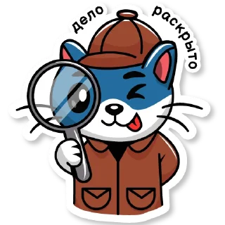 🕵️‍♂️