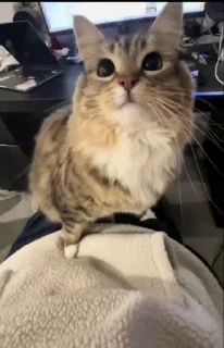 ☹️