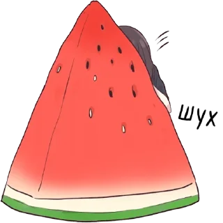 🍉