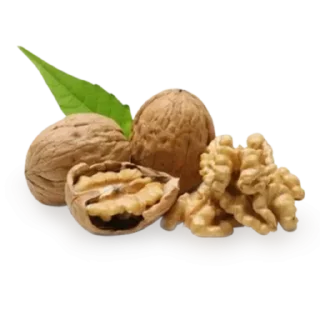 🌰