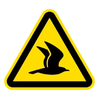 🕊