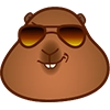 Сурок Браток / Marmot Bro (@Mari_Deinos, @Pig_and_friends)