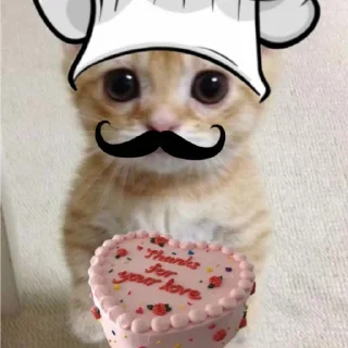🍰
