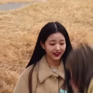 🐰