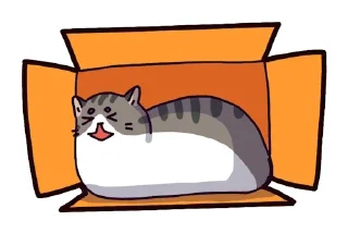 📦