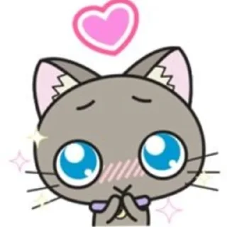 🐱