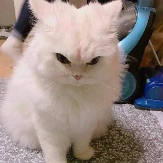 😡