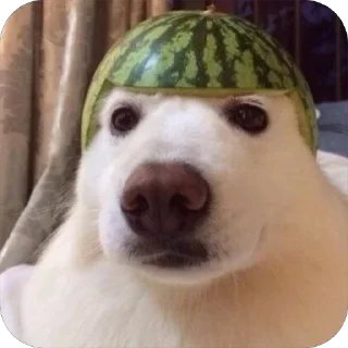 🫥
