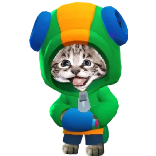 😺