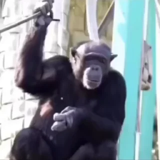 🖕