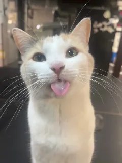 😛