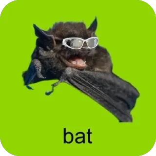 🦇