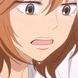 🤍