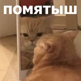 😐