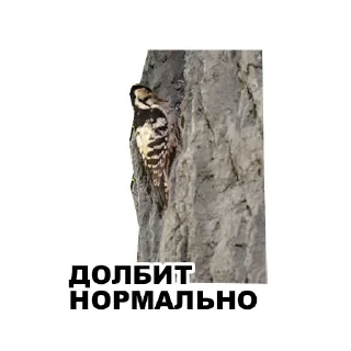 🥁