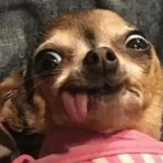 😋