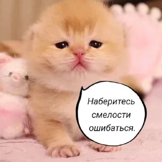👿