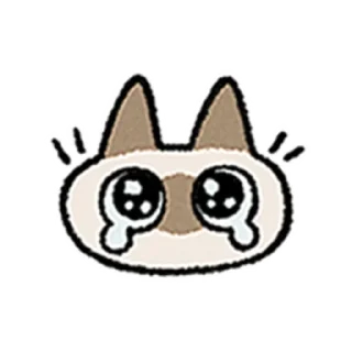 😺