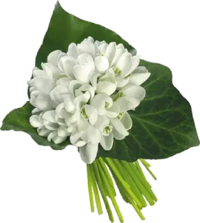 💐