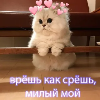 😗