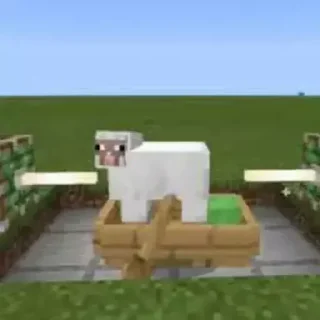 😳