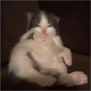 🤕