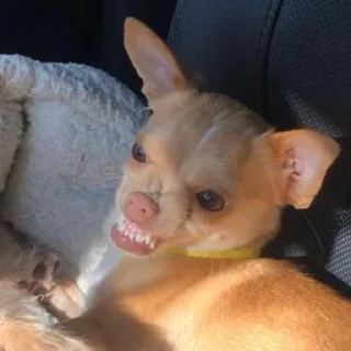 😠