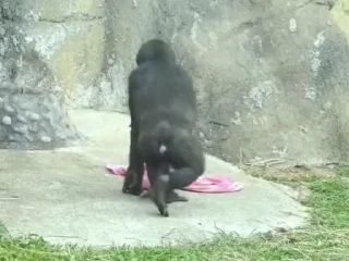 😔