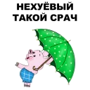 🐷