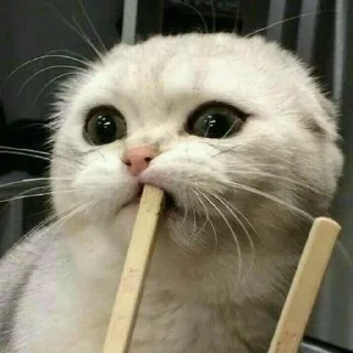😍