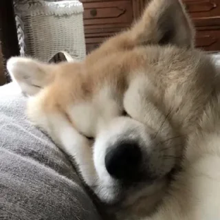 🤫
