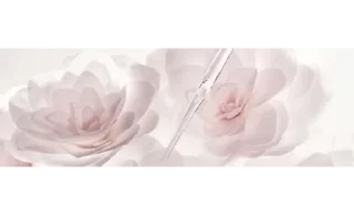🎀