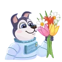 🌷