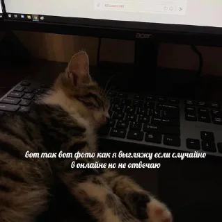 🤍