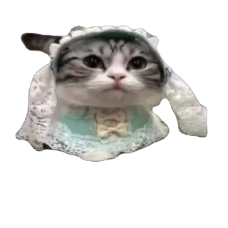 🫥