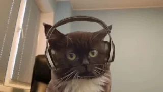 😶